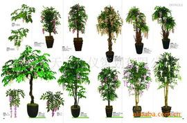 深圳市天元禮儀策劃公司 專業(yè)綠化苗木產(chǎn)品與一站式禮儀服務(wù)