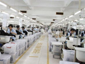 內(nèi)衣廠家為何信賴波而朵 品質(zhì)、創(chuàng)新與服務(wù)的三重保障